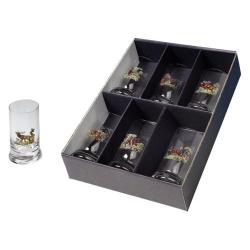 Coffret 6 verres à liqueur