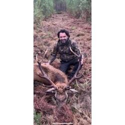 Chasse des cervidés à l'approche /affût dans les landes