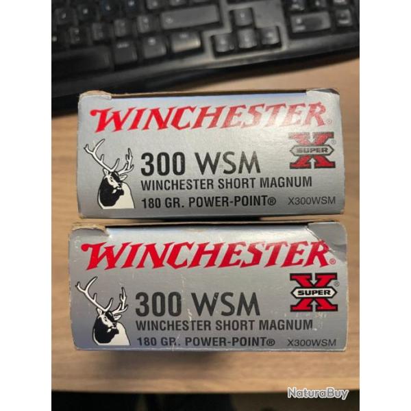 Munitions winchester 300 wsm Super X 180 gr