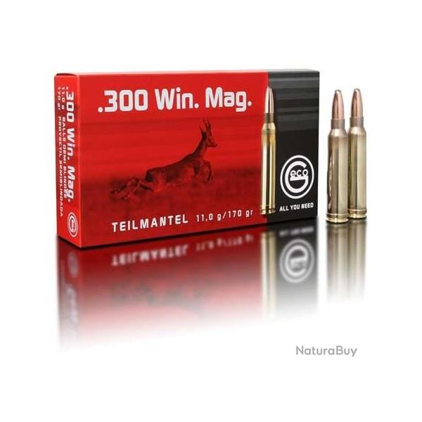 GECO Balles de chasse Tm 1/2 blinde - par boite de 20  300 WINCHESTER MAGNUM   170Gr