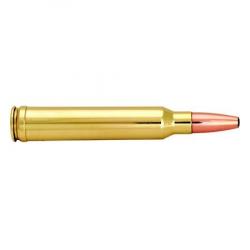 NORMA Balles de chasse Ppdc dual pointe plastique - par boite de 20  300 WINCHESTER MAGNUM   180Gr