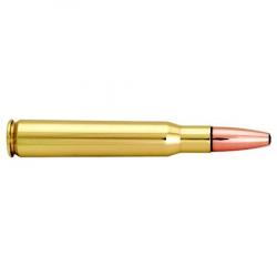 NORMA Balles de chasse Ppdc dual pointe plastique - par boite de 20  30-06 SPRINGFIELD   180Gr