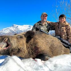 Sanglier au Tadjikistan