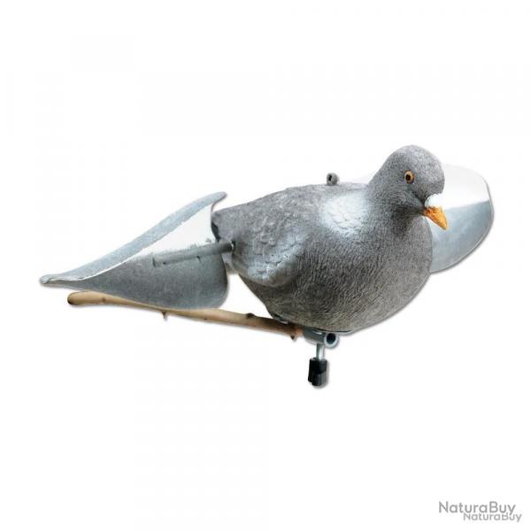 Appelant pigeon floqué à ailes tournantes