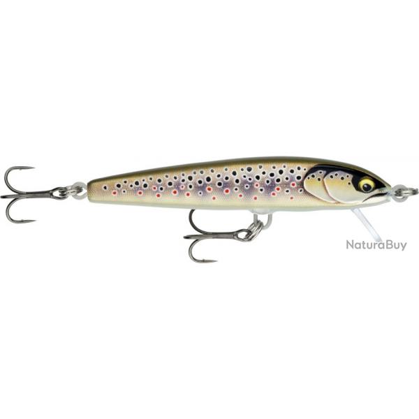 Poisson Nageur Rapala Floater Elite 8,5cm 8,5cm GDBT 6,5g