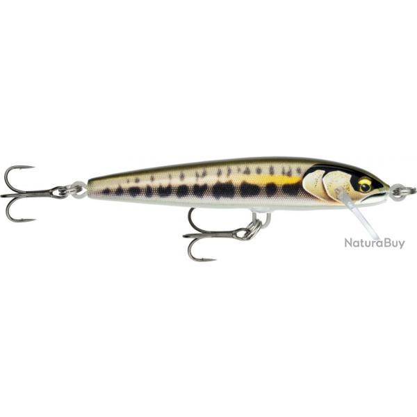 Poisson Nageur Rapala Floater Elite 8,5cm 8,5cm GDMN 6,5g