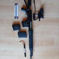 SVD S cyma