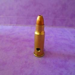 UNE belle cartouche cal.256 WINCHESTER MAGNUM NEUTRALISEE