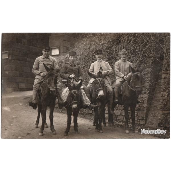 CARTE PHOTO MILITARIA   -  SOLDATS  -  MULES  -  NES