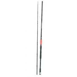 Filfishing canne monster catfifh 2.55m