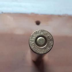 Grande chasse 458 winchester MAG SEMI BLINDE