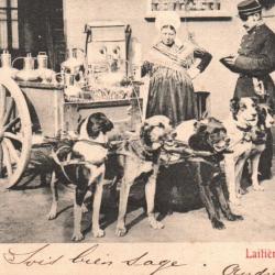 CPA -BELGIQUE LAITIERE FLAMANDE attelage chiens