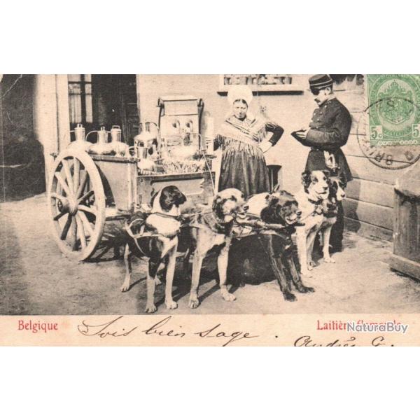 CPA -BELGIQUE LAITIERE FLAMANDE attelage chiens