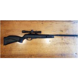 Gamo black bull