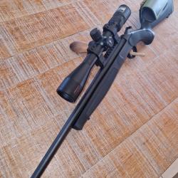 BERGARA BA 13 en 243Win