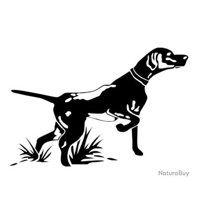 Carte Postale Ancienne 1905 - Chien De Chasse à L'arrêt - Illustré - Voyagée