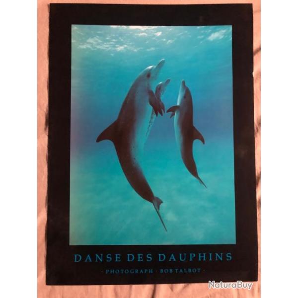 Affiche, poster, : Danse des Dauphins 43 x 61 cm