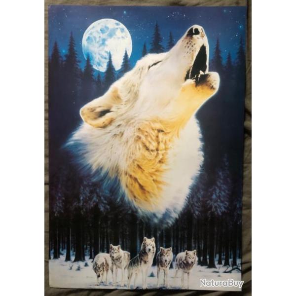 Affiche, poster, Hurlement d'un Loup une nuit de pleine lune  43 x 61 cm