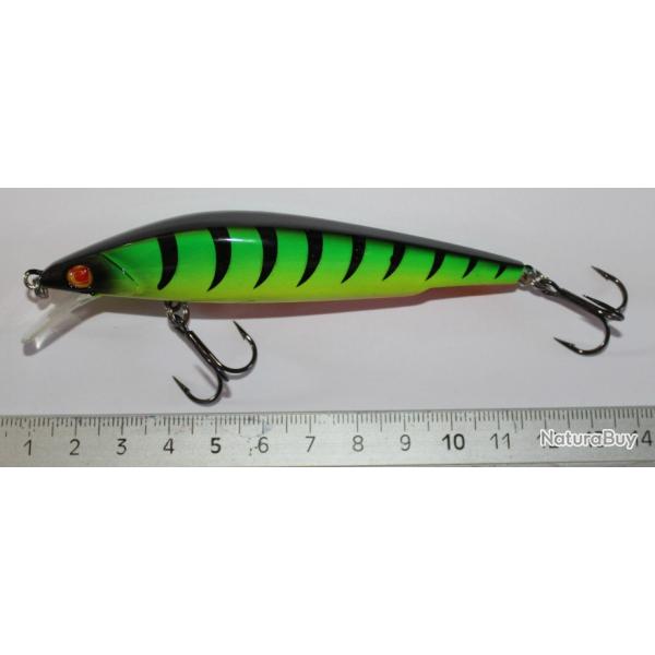 Poisson nageur Sbile Bull Minnow (1)