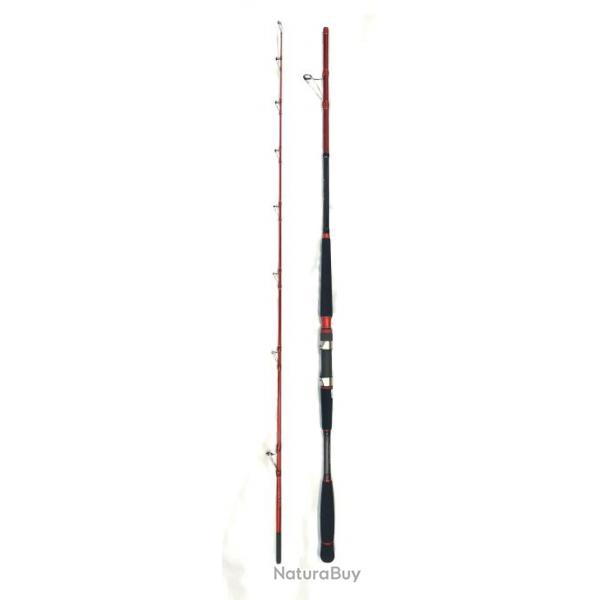 Filfishing canne thunder 240