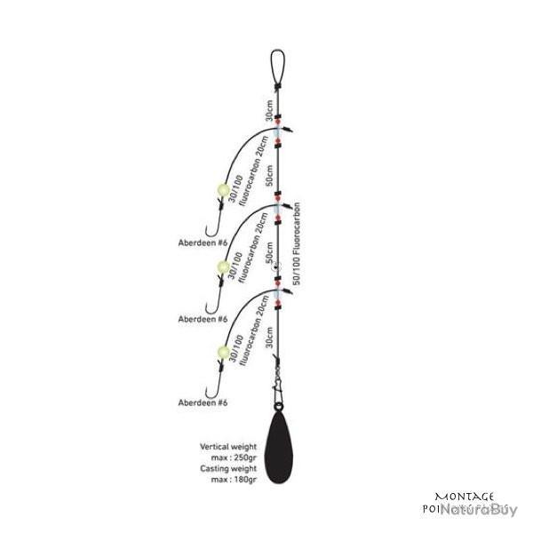 Montage Daiwa D'Rig Surfcasting Poissons Plats