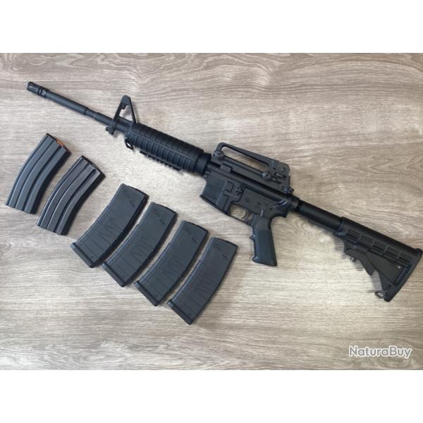 Bushmaster XM 15-E25 calibre 223REM avec 6 chargeurs sup