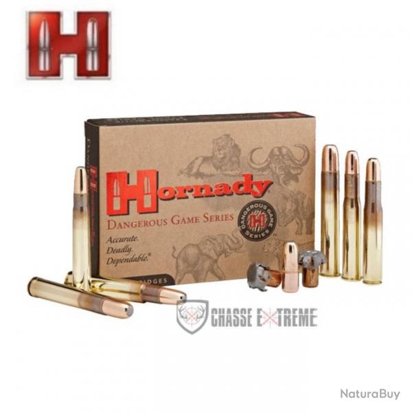 20 Munitions HORNADY Cal 458 Lott 500Gr Dgx Bonded