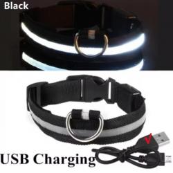 Collier Lumineux LED pour Chiens USB Rechargeable Sécurité Nocturne Confort Optimal M 37-46cm Noir