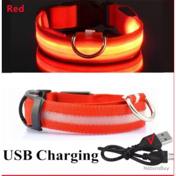 Collier Lumineux LED pour Chiens USB Rechargeable Scurit Nocturne Confort XXL 43-62cm Rouge