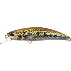 SPEARHEAD RYUKI 60 S - ACCZ114 GOUJON