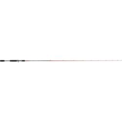 CANNE TENRYU INJECTION BC 67 MH