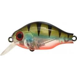 B.SWITCHER 1-0 NO RATTLE - PERCH OB UV