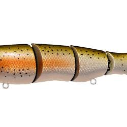 SPINE-X 190F - GLX RAINBOW