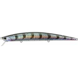 TIDE MINNOW 140 SLIM DHN0331 BARRACUDA HD