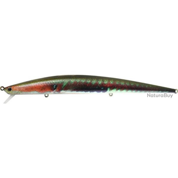 TIDE MINNOW SLIM 175 SP - CCC0824 WRASSE II ND