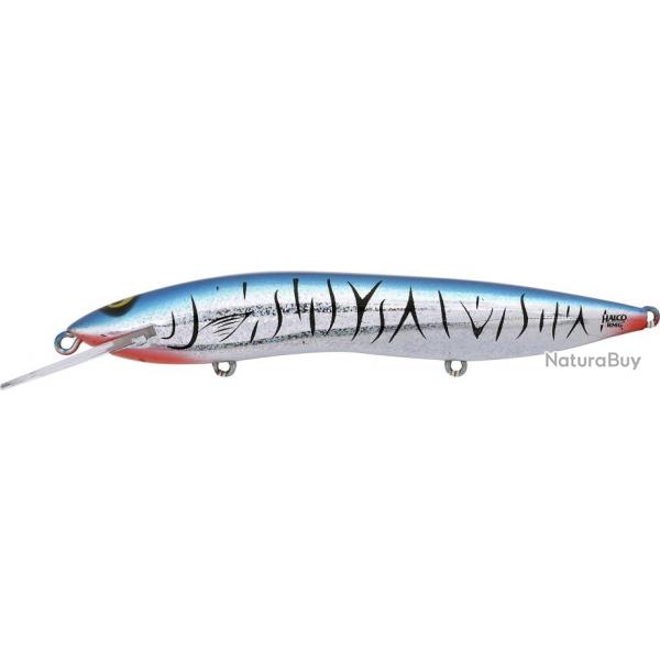 SORCERER 150 H57 BAITFISH