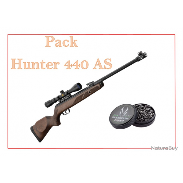 BF24 ! Pack Carabine 19,9J GAMO Hunter 440 AS + lunette 3-9 x 40 WR + Plombs