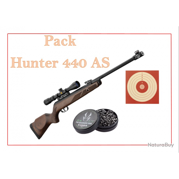 BF24 ! Pack Carabine 19,9J GAMO Hunter 440 AS + lunette 3-9 x 40 WR + Cibles + Plombs