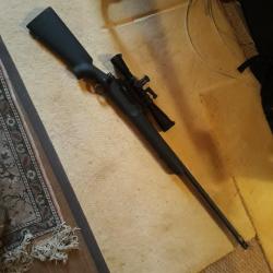 Remington 700 Police 300Win mag ideal TLD