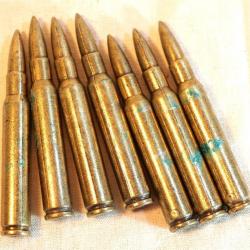 Lot de 8 cartouches munitions balles DENIX 30.06 GARAND - EBR24CAD015