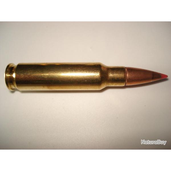 une cartouche de 30 thompson center (T/C) pour collection de marque hornady ogive SST