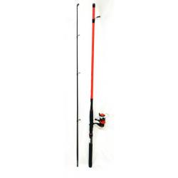 Mitchel ensemble catch pro spin 242 10-30gr