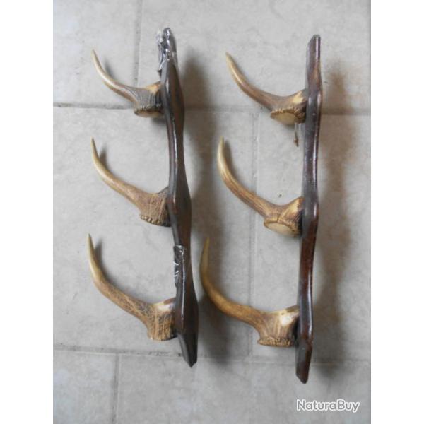 supports armes bois de cerf x 2(pas d'offre)