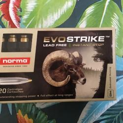 Norma EVOSTRIKE 9,3X62 11,9/184gr