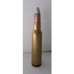 UNE  cartouche cal.250 SAVAGE BALLE SILVER TIP NEUTRALISEE