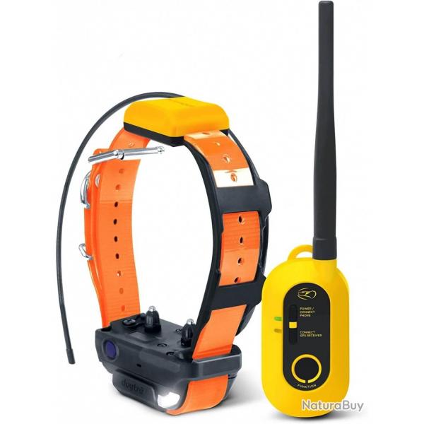 PATHFINDER 2 DOGTRA centrale + collier ARMURERIE NEA