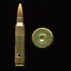 .223 REMINGTON pour M16 - SINGAPOUR en 1971 pour le Département de Défense - marquage codé = GA 223