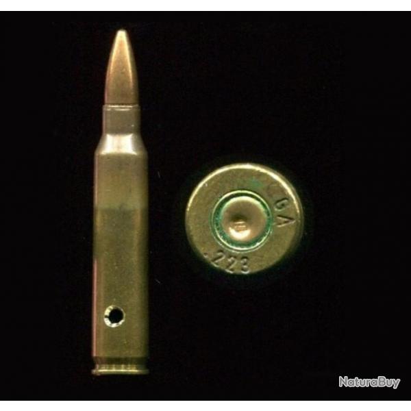 .223 REMINGTON pour M16 - SINGAPOUR en 1971 pour le Dpartement de Dfense - marquage cod = GA 223