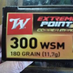 balles winchester 300wsm