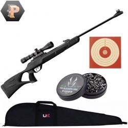 BF24 ! Gamo Pack G-MAGNUM 1250 + 3-9 x 40 WR Cal 4,5 mm + plombs + cibles + fourreau